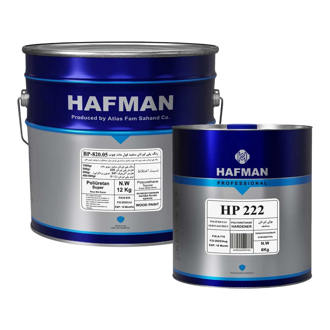 Full Matte White Polyurethane Paint BP-820.05