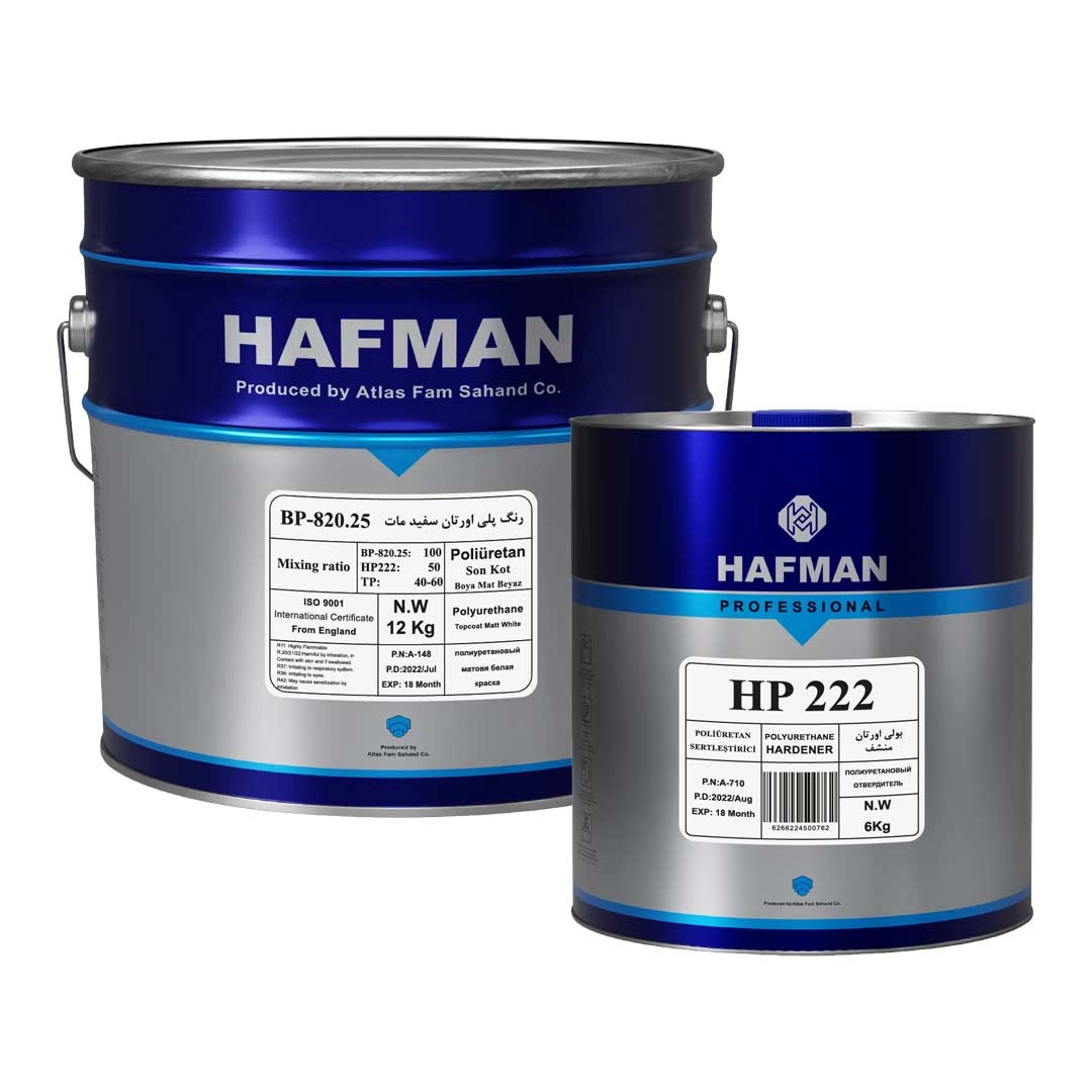 Matte White Polyurethane Paint BP-820.25
